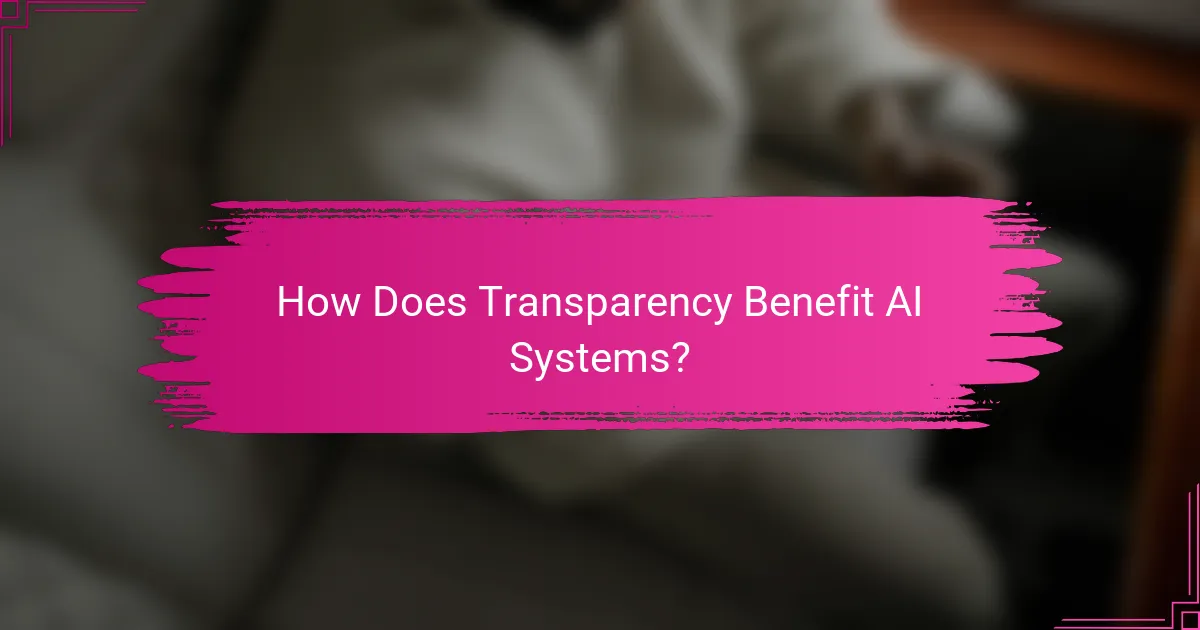 How Does Transparency Benefit AI Systems?