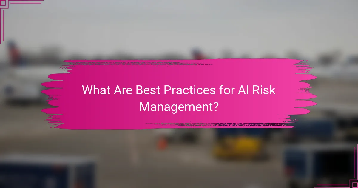 What Are Best Practices for AI Risk Management?