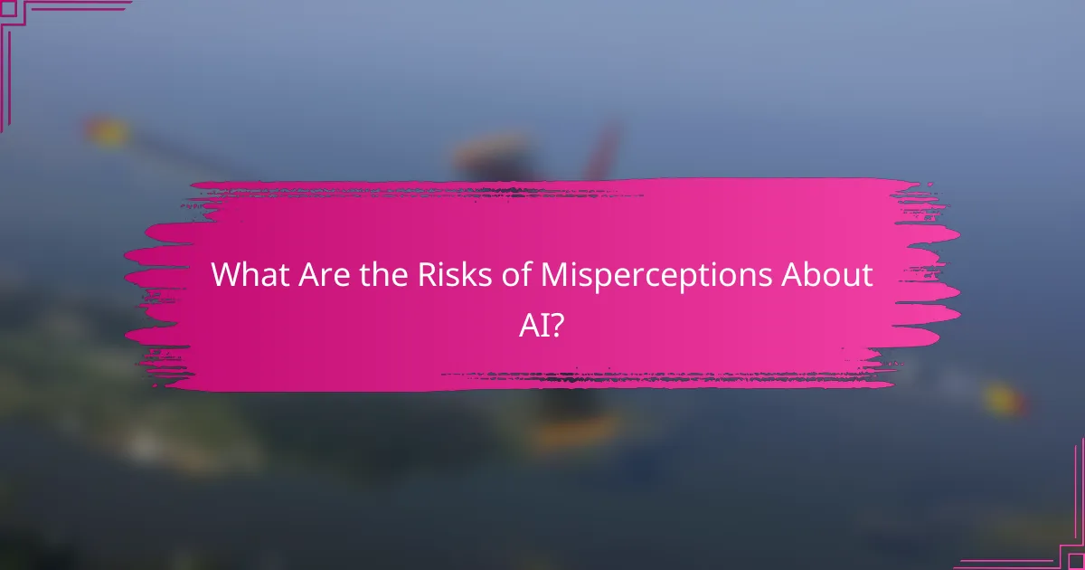 What Are the Risks of Misperceptions About AI?