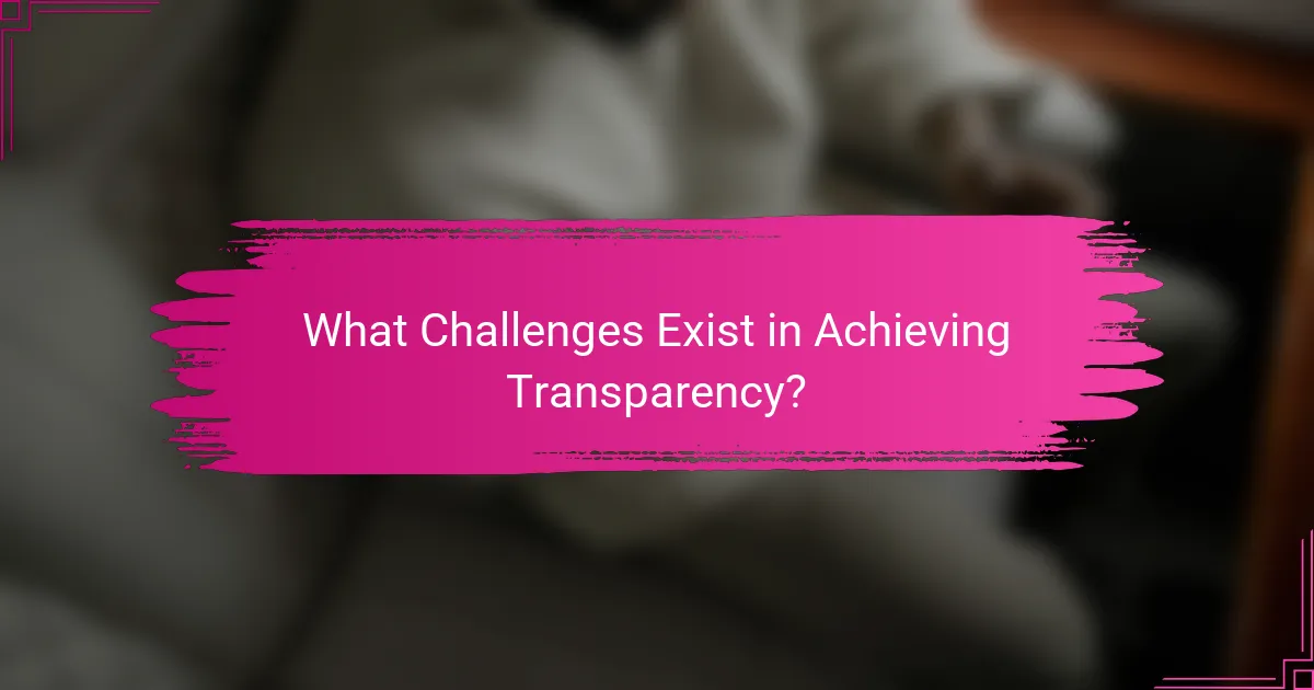What Challenges Exist in Achieving Transparency?