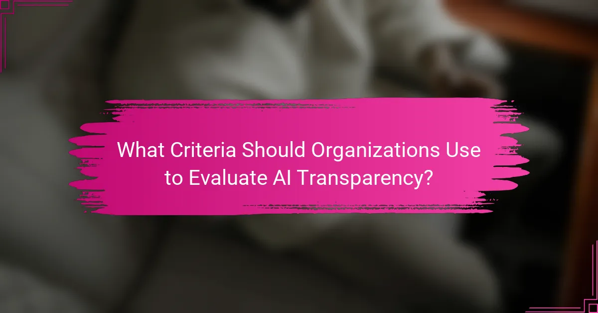 What Criteria Should Organizations Use to Evaluate AI Transparency?